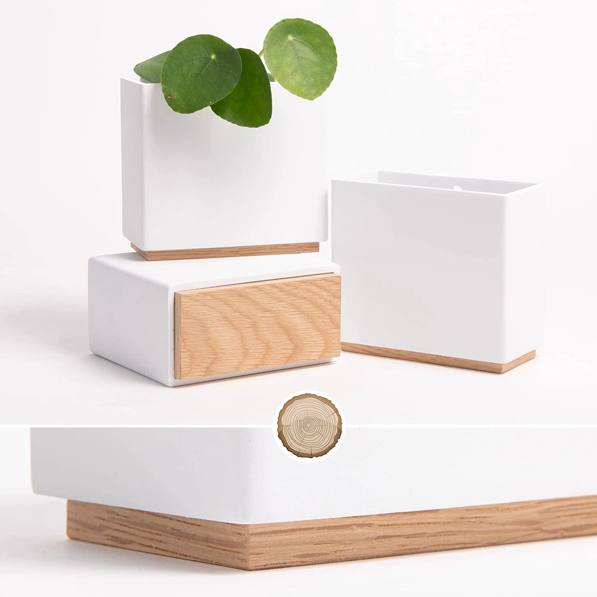 KAZAI. Wandvazen -Alma | Moderne Hangende Bloempotten Voor Aan De Muur | 3-delige Bloempot Set Van Hoogwaardig Hars Voor Kamerplanten, Kunstplanten, Bloemen Enz. | Wit 4 KAZAI. Wandvazen -Alma | Moderne Hangende Bloempotten Voor Aan De Muur | 3-delige Bloempot Set Van Hoogwaardig Hars Voor Kamerplanten, Kunstplanten, Bloemen Enz. | Wit - Afbeelding 2