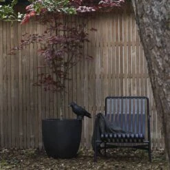 Capi Europe - Bloempot Bol Smooth NL - 54x52 - Zwart - Voor Binnen En Buiten - KBL935 -Gardena Verkoopwinkel 1200x1200 1290