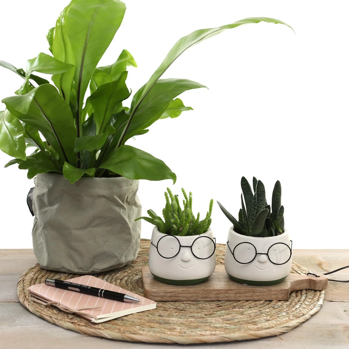 2x Bloempot Met Gezicht - Ø8 X H6,5 Cm - Bloempotten Voor Binnen Met Bril/Face/Hoofd 6 2x Bloempot Met Gezicht - Ø8 X H6,5 Cm - Bloempotten Voor Binnen Met Bril/Face/Hoofd - Afbeelding 4