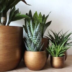 Capi Europe - Vaas Bol Retro - 30x25 - Goud - Bloempot Voor Binnen - BRTG104 16 Capi Europe - Vaas Bol Retro - 30x25 - Goud - Bloempot Voor Binnen - BRTG104 -Gardena Verkoopwinkel 1200x1200 1349