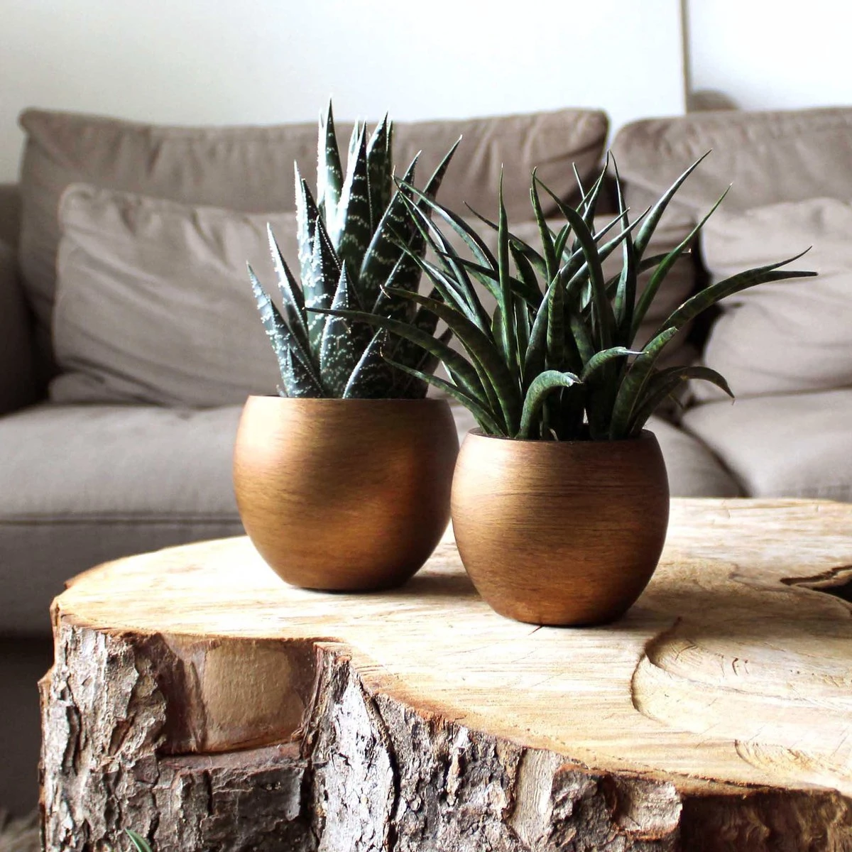 Capi Europe - Vaas Bol Retro - 30x25 - Goud - Bloempot Voor Binnen - BRTG104 8 Capi Europe - Vaas Bol Retro - 30x25 - Goud - Bloempot Voor Binnen - BRTG104 - Afbeelding 6