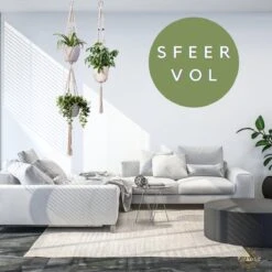 Plantenhanger Macrame Set Van 2 - Plantenhanger Met Ruimte Voor 3 Potten - Luxe Gevlochten Touw 100% Katoen - Duurzaam - Plantenbakken - Bloempotten - Macramé Stijl Hanger Voor Bloempotten - Hangpot - Fienosa -Gardena Verkoopwinkel 1200x1200 1360