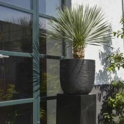 Capi Europe - Bloempot Bol Rib NL - 35x34 - Zwart - Voor Binnen En Buiten - KBLR932 -Gardena Verkoopwinkel 1200x1200 1364