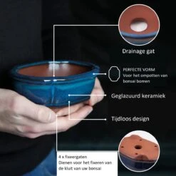 Happy Seed Keramieken Bonsai Pot (schaal) - Marine Blauw - Geglazuurd -Gardena Verkoopwinkel 1200x1200 1371