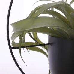 Mica Decorations Dexter Bloempot Hangend - L34 X B14 X H65 Cm - Zwart -Gardena Verkoopwinkel 1200x1200 1377