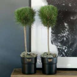 Riviera Maison Bloempot Voor Binnen Zwart - City Loft Flower Pot S -Gardena Verkoopwinkel 1200x1200 1393