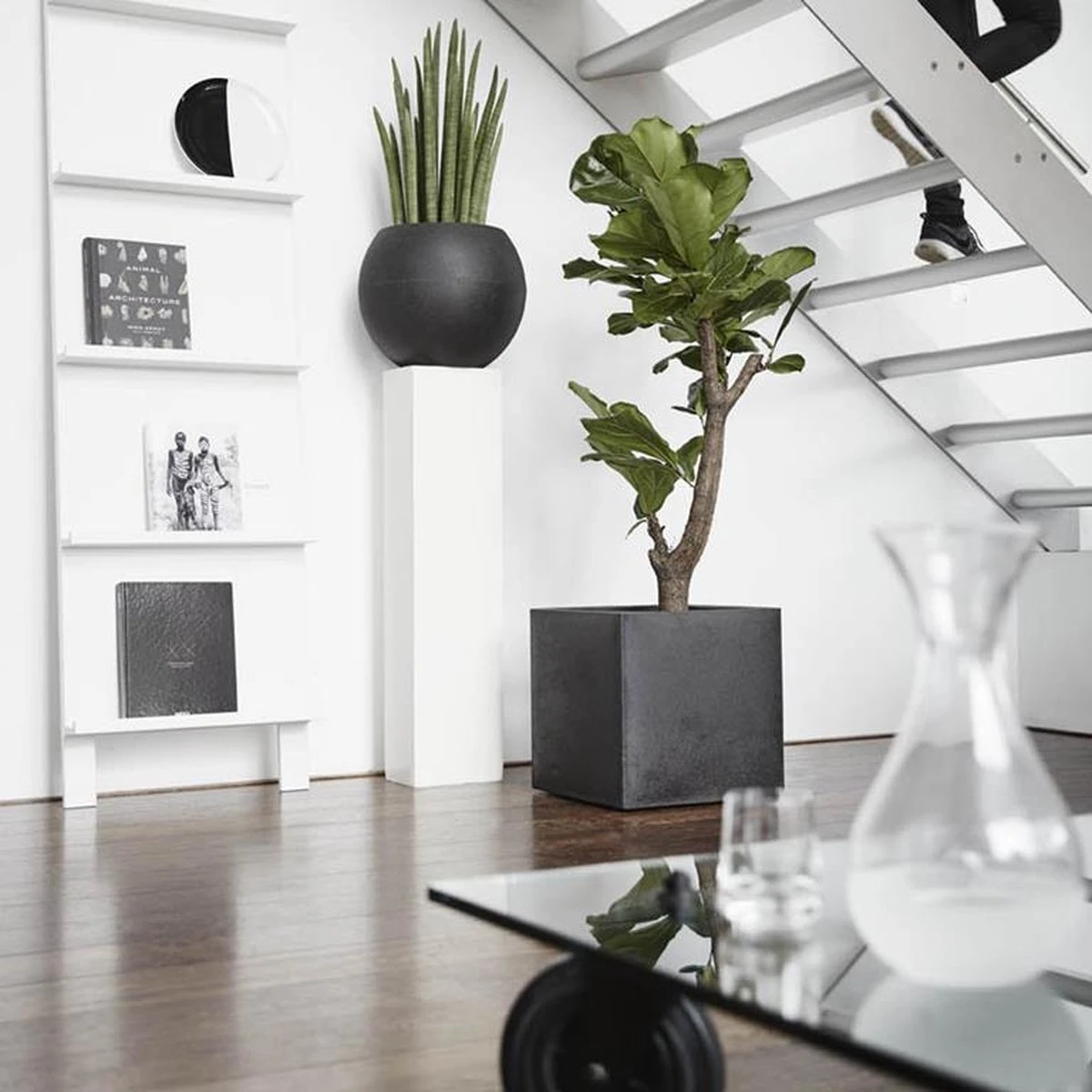 Capi Europe - Bloempot Vierkant Smooth NL - 50x50x50 - Zwart - Voor Binnen En Buiten - KBL904 4 Capi Europe - Bloempot Vierkant Smooth NL - 50x50x50 - Zwart - Voor Binnen En Buiten - KBL904 - Afbeelding 2