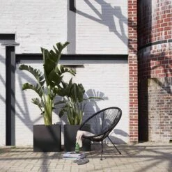 Capi Europe - Bloempot Vierkant Smooth NL - 50x50x50 - Zwart - Voor Binnen En Buiten - KBL904 24 Capi Europe - Bloempot Vierkant Smooth NL - 50x50x50 - Zwart - Voor Binnen En Buiten - KBL904 -Gardena Verkoopwinkel 1200x1200 1421