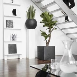 Capi Europe - Bloempot Vierkant Smooth NL - 50x50x50 - Zwart - Voor Binnen En Buiten - KBL904 41 Capi Europe - Bloempot Vierkant Smooth NL - 50x50x50 - Zwart - Voor Binnen En Buiten - KBL904 -Gardena Verkoopwinkel 1200x1200 1428