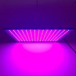 A Sunny Day LED Groeilamp - Grow Light - Kweeklamp - Versnelt Groei En Ontwikkeling - Groeilamp Rood Blauw - 45 Watt - 30 X 30 Cm - 225 LEDs -Gardena Verkoopwinkel 1200x1200 143