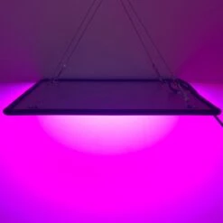 A Sunny Day LED Groeilamp - Grow Light - Kweeklamp - Versnelt Groei En Ontwikkeling - Groeilamp Rood Blauw - 45 Watt - 30 X 30 Cm - 225 LEDs -Gardena Verkoopwinkel 1200x1200 144