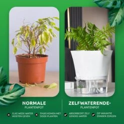 SKYARD® 3 Stuks Zelfwaterende Bloempot Maat M – Milieuvriendelijk Watergeefsysteem Kamerplanten – Zelfwatergevende Pot – Bloempot Met Waterreservoir – Selfwatering Pot – Wit -Gardena Verkoopwinkel 1200x1200 1447