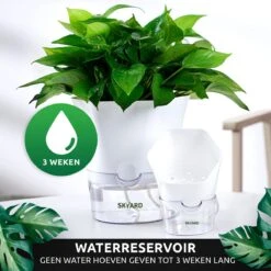 SKYARD® 3 Stuks Zelfwaterende Bloempot Maat M – Milieuvriendelijk Watergeefsysteem Kamerplanten – Zelfwatergevende Pot – Bloempot Met Waterreservoir – Selfwatering Pot – Wit -Gardena Verkoopwinkel 1200x1200 1451