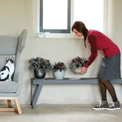 Elho Floorprotector Rond 25 - Accessoires Voor Binnen - Ø 25.0 X H 1.5 Cm - Transparant/Transparant -Gardena Verkoopwinkel 1200x1200 1453