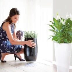 Elho Floorprotector Rond 25 - Accessoires Voor Binnen - Ø 25.0 X H 1.5 Cm - Transparant/Transparant -Gardena Verkoopwinkel 1200x1200 1454