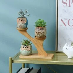 Luxe Bamboe Houten Boom Met 3 Keramiek Uil Bloempotten/Plantenpotten Op Standaard/Voet Voor Binnen En Buiten - Modern Design Bloempot/Plantenpot Op Poten/Pootjes-Plantenbak Mini Cactus Nep Plant Pot Houder - Kleine Bloembakken Plantenrek/Plantenkurk -Gardena Verkoopwinkel 1200x1200 1463