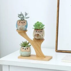 Luxe Bamboe Houten Boom Met 3 Keramiek Uil Bloempotten/Plantenpotten Op Standaard/Voet Voor Binnen En Buiten - Modern Design Bloempot/Plantenpot Op Poten/Pootjes-Plantenbak Mini Cactus Nep Plant Pot Houder - Kleine Bloembakken Plantenrek/Plantenkurk -Gardena Verkoopwinkel 1200x1200 1464