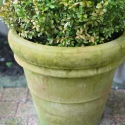 HG Groene Aanslagreiniger Kant & Klaar 13228N - 500ml - De NR1 Groene Aanslagreiniger - Zelfwerkend - Geschikt Voor Alle Ondergronden -Gardena Verkoopwinkel 1200x1200 1507