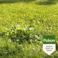 Pokon Onkruid Weg! - 800gr - Onkruidverdelger - Geschikt Voor 40m² - Onkruidbestrijder -Gardena Verkoopwinkel 1200x1200 1537