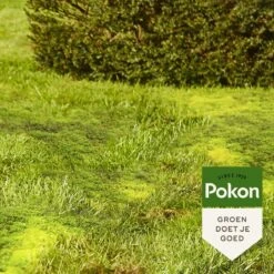 Pokon Mos Weg! - 5,25kg - Onkruidverdelger - Geschikt Voor 150m² - Mosbestrijder -Gardena Verkoopwinkel 1200x1200 1541