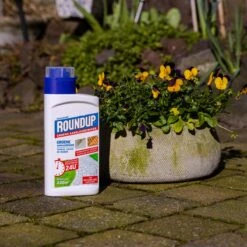 ROUNDUP® Groene Aanslagreiniger Concentraat - Verwijdert Groene Aanslag En Algen - Voor Terras, Daken En Muren - 400 Ml Voor 220 M2 -Gardena Verkoopwinkel 1200x1200 1559