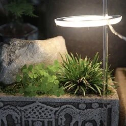 A Sunny Day Kweeklamp LED Ring Wit Licht - 3 Ringen - Groeilamp Voor Planten - Zonlicht Lamp - Grow Light 17 A Sunny Day Kweeklamp LED Ring Wit Licht - 3 Ringen - Groeilamp Voor Planten - Zonlicht Lamp - Grow Light -Gardena Verkoopwinkel 1200x1200 159