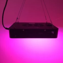 A Sunny Day 1000 Watt LED Groeilamp - Kweeklamp - Groei En Bloei - Grow Light - Full Spectrum - 1000 Watt - 100 Dual Chip LEDs -Gardena Verkoopwinkel 1200x1200 242