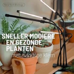 New York Biology™ - Kweeklamp LED Full Spectrum | Groeilamp Voor Planten | 40 Watt | Automatisch Timer Voor 3-9-12 Uur Voor Beste Resultaat -Gardena Verkoopwinkel 1200x1200 248