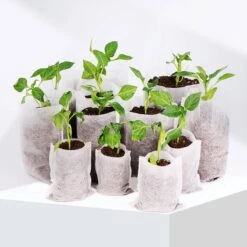 BioGrow | Milieuvriendelijke Groeipotjes | 20 Stuks | Ø7x9cm | Biologisch Afbreekbaar | Gemaakt Van Bamboe | Ideaal Voor Stekken, Zaaien En Groeien | Geschikt Als Turfpotjes, Stekzakjes, Groeibakjes En Zaaibakjes 10 BioGrow | Milieuvriendelijke Groeipotjes | 20 Stuks | Ø7x9cm | Biologisch Afbreekbaar | Gemaakt Van Bamboe | Ideaal Voor Stekken, Zaaien En Groeien | Geschikt Als Turfpotjes, Stekzakjes, Groeibakjes En Zaaibakjes -Gardena Verkoopwinkel 1200x1200 308