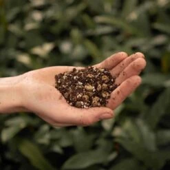 Bonsai Grond Mix - 5L - SYBASoil - Potgrond - Zonder Turf/veen 15 Bonsai Grond Mix - 5L - SYBASoil - Potgrond - Zonder Turf/veen -Gardena Verkoopwinkel 1200x1200 32