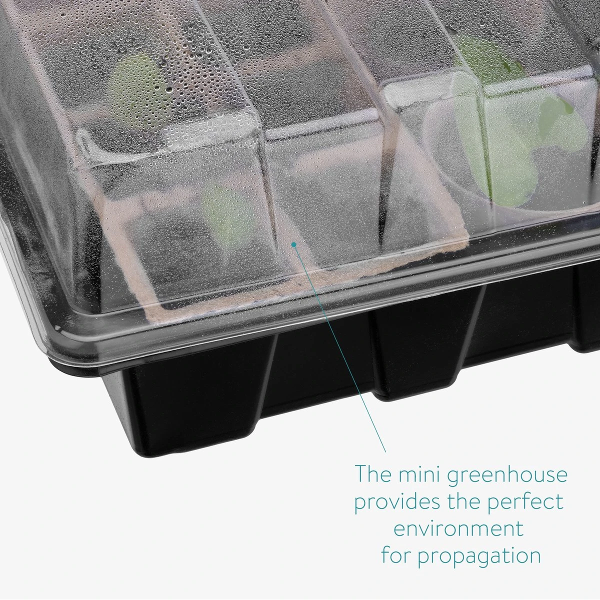 Navaris Zaden Starter Groei Set - 63-delige Set Met Potten Trays Deksel Labels Potlood Gatenmaker En Spatel - Kweek Nieuwe Planten 6 Navaris Zaden Starter Groei Set - 63-delige Set Met Potten Trays Deksel Labels Potlood Gatenmaker En Spatel - Kweek Nieuwe Planten - Afbeelding 4