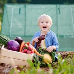 Relaxdays Kweekkas - 110 X 180 X 150 Cm - Foliekas - Uv-bestendig - Laag - Tuinkas - Groen -Gardena Verkoopwinkel 1200x1200 368