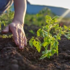 Relaxdays Kweekkas - 110 X 180 X 150 Cm - Foliekas - Uv-bestendig - Laag - Tuinkas - Groen -Gardena Verkoopwinkel 1200x1200 370