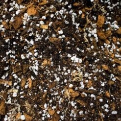 SYBASoil Aroid Mix 5L - Turfvrije Potgrond Mix - 6 Maanden Voeding -Gardena Verkoopwinkel 1200x1200 382