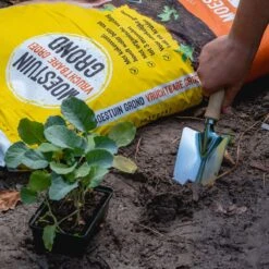 ECOstyle Moestuin Grond Groente Fruit & Kruiden Turfvrije Potgrond - Organische Voeding Voor 3 Maanden - Kokosvezel - 30 L -Gardena Verkoopwinkel 1200x1200 391