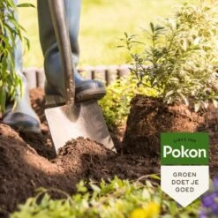 Pokon Bio Aanplantgrond Voor Tuinplanten, Bomen & Hagen - 30l - 100 Dagen Voeding 12 Pokon Bio Aanplantgrond Voor Tuinplanten, Bomen & Hagen - 30l - 100 Dagen Voeding -Gardena Verkoopwinkel 1200x1200 396