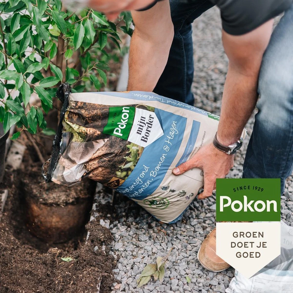 Pokon Bio Aanplantgrond Voor Tuinplanten, Bomen & Hagen - 30l - 100 Dagen Voeding 6 Pokon Bio Aanplantgrond Voor Tuinplanten, Bomen & Hagen - 30l - 100 Dagen Voeding - Afbeelding 4