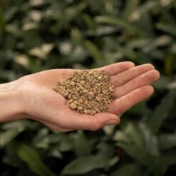 SYBASoil Puimsteen 3L - Bodemverbeteraar - Terrarium Decoratie -Gardena Verkoopwinkel 1200x1200 399