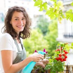 Grouw Mini-kweekkast -Gardena Verkoopwinkel 1200x1200 408