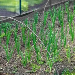 Merkloos Kweektunnel Met Zwart Gaasnet - 300x45x45 Cm -Gardena Verkoopwinkel 1200x1200 413