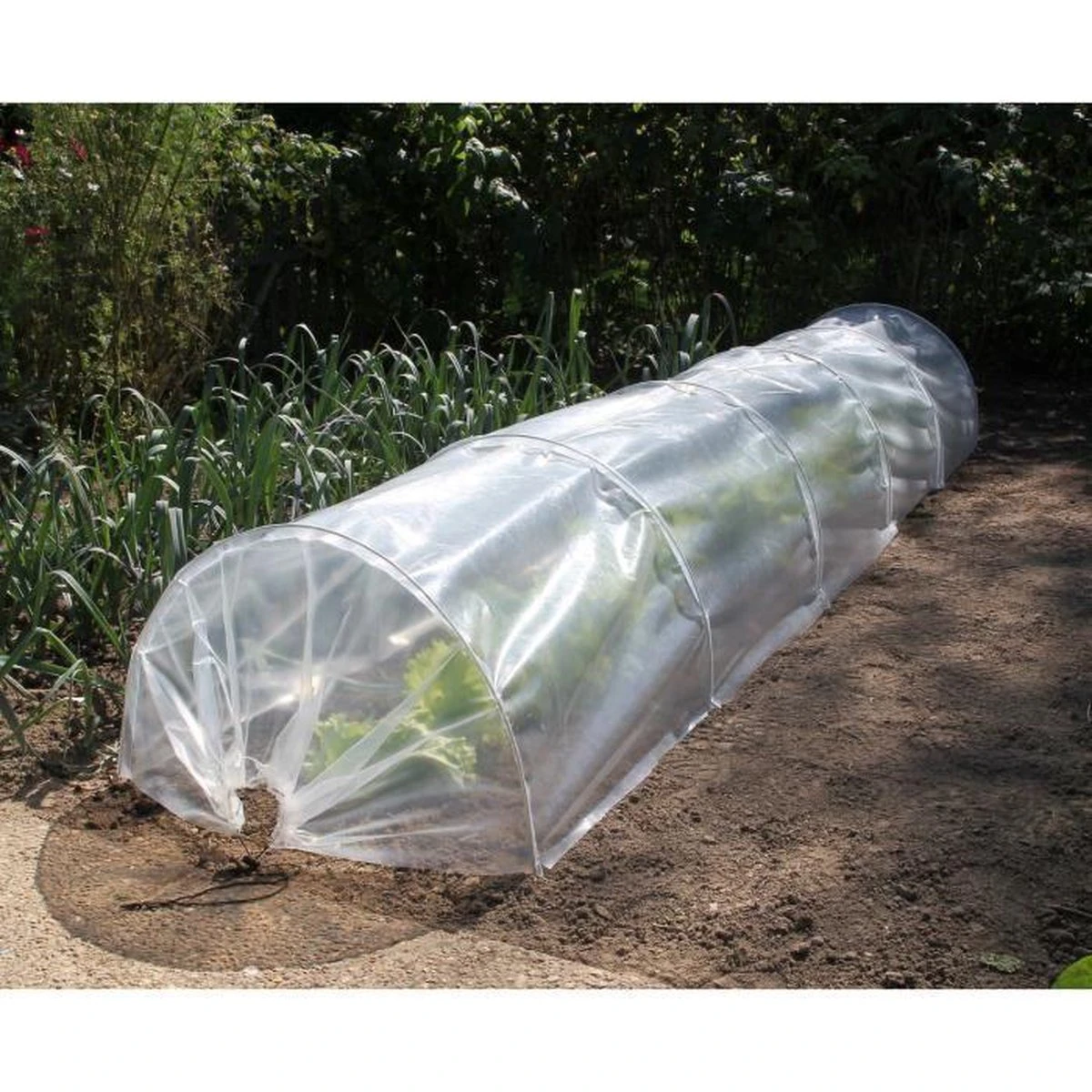 Nature - Tuintunnelset (2-in-1: Folie + Net) - 45 X 60 X 300cm 4 Nature - Tuintunnelset (2-in-1: Folie + Net) - 45 X 60 X 300cm - Afbeelding 2