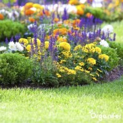 Koemestkorrels 3in1 (20Kg Voor 200m2) Allround Organische Meststof - Direct Opneembare Voeding - Langdurige Werking > 120 Dagen - Geurloos - Verbeterd Bodem - Lavameel Toevoeging - Versterkt Gras En Planten - Organifer -Gardena Verkoopwinkel 1200x1200 424