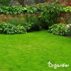 IJzersulfaat Meststof – Mos Verwijderaar – 5kg -Voor 250m2 (organifer) -Gardena Verkoopwinkel 1200x1200 438