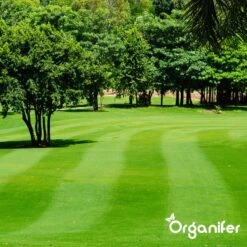 IJzersulfaat Meststof – Mos Verwijderaar – 5kg -Voor 250m2 (organifer) -Gardena Verkoopwinkel 1200x1200 442