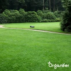 IJzersulfaat Meststof – Mos Verwijderaar – 5kg -Voor 250m2 (organifer) -Gardena Verkoopwinkel 1200x1200 445