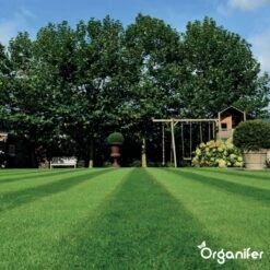 IJzersulfaat Meststof – Mos Verwijderaar – 5kg -Voor 250m2 (organifer) -Gardena Verkoopwinkel 1200x1200 446