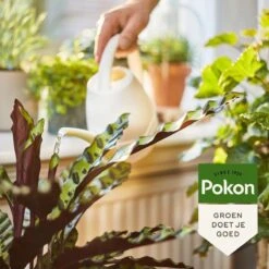 Pokon Bio Kamerplanten Voeding - 1l - Plantenvoeding (bio) - 7ml Per 1L Water -Gardena Verkoopwinkel 1200x1200 449