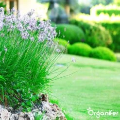 Lavameel Uit Eifel Oergesteente (20Kg Voor 200m2) Organifer -Gardena Verkoopwinkel 1200x1200 462