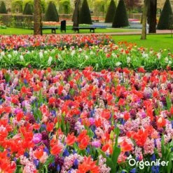 Lavameel Uit Eifel Oergesteente (20Kg Voor 200m2) Organifer -Gardena Verkoopwinkel 1200x1200 465