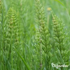 Lavameel Uit Eifel Oergesteente (20Kg Voor 200m2) Organifer -Gardena Verkoopwinkel 1200x1200 466